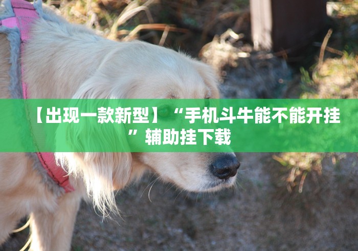 分享实测辅助“微信麻将开挂工具”详细开挂玩法