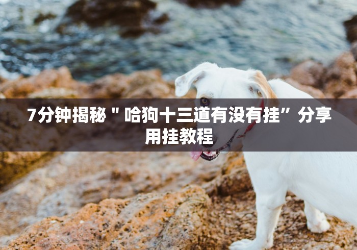 【第一发现】“网络十三水怎么刷好牌”(透视曝光猫腻)
