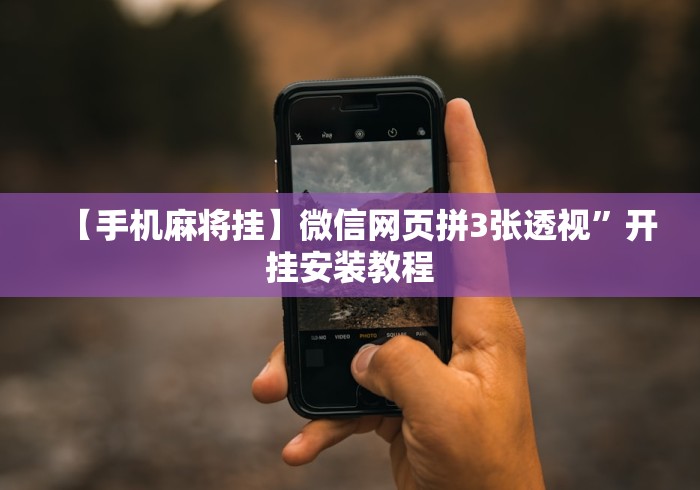【知识科普】“大头十三水外卦辅助神器”(原来确实是有挂)