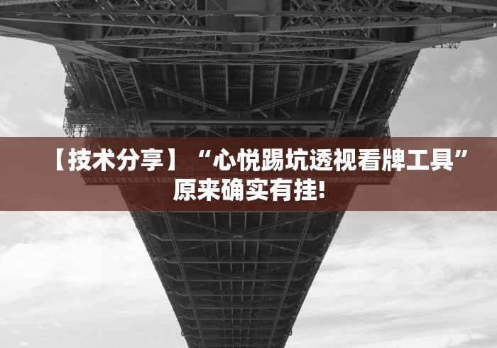 【玩家新攻略】“熊猫麻将二人怎么开挂”（透视挂）辅助神器教程