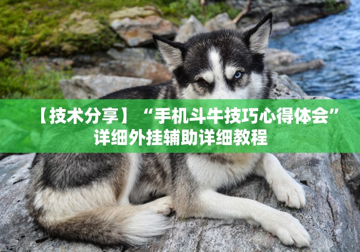 【第一发现】“微信作弊助手”分享用挂教程
