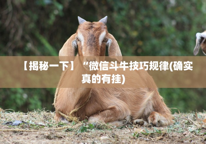 【盘点十款】“余音决战十三水能开挂(辅助外挂+教程) 【盘点十款】“余音决战十三水能开挂(辅助外挂+教程)