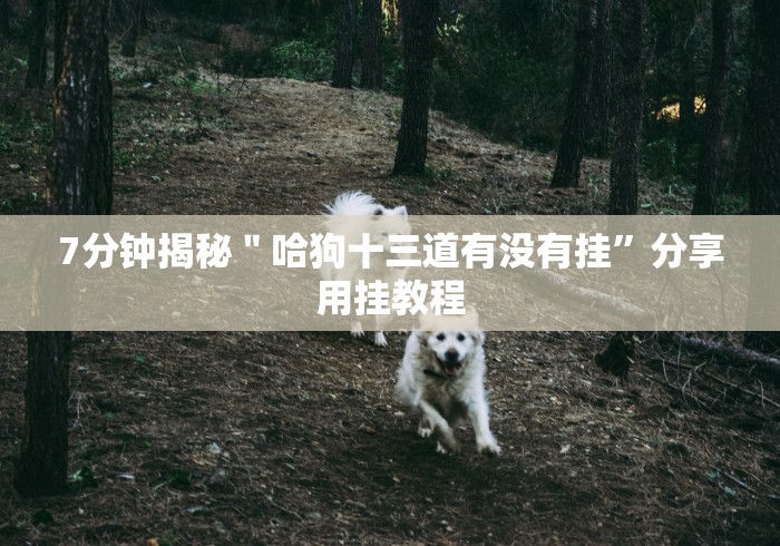 【第一攻略】“心悦踢坑挂下载免费”揭秘透视辅助万能挂