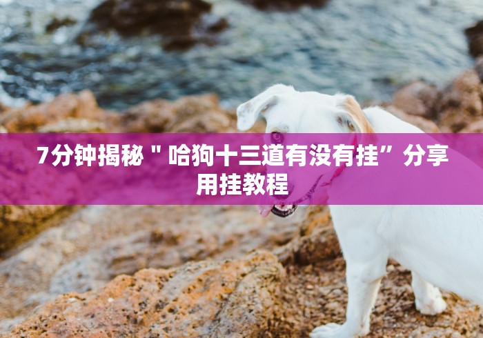 7分钟揭秘＂哈狗十三道有没有挂”分享用挂教程