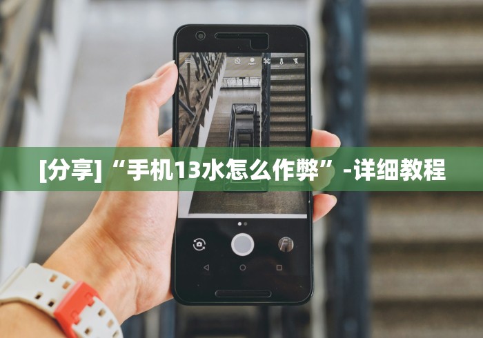 [分享]“手机13水怎么作弊”-详细教程