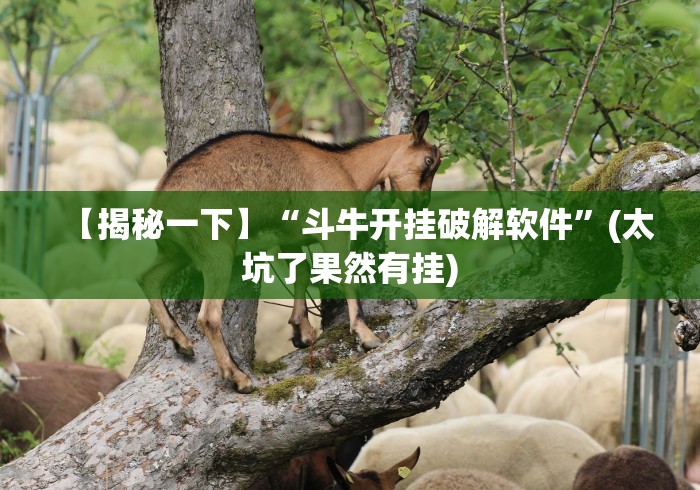 【揭秘一下】“斗牛开挂破解软件”(太坑了果然有挂)