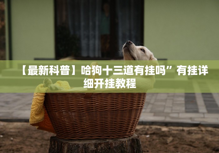 实操教程“微乐踢坑万能开挂器通用版”-玩家曝光开挂流程