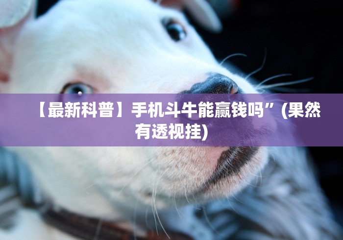 【最新科普】手机斗牛能赢钱吗”(果然有透视挂)