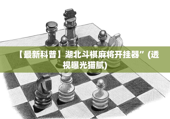 【出现一款新型】“多乐跑得快开挂神器试用”必胜开挂神器