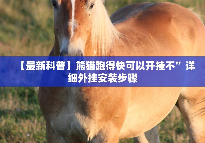 【最新科普】熊猫跑得快可以开挂不”详细外挂安装步骤