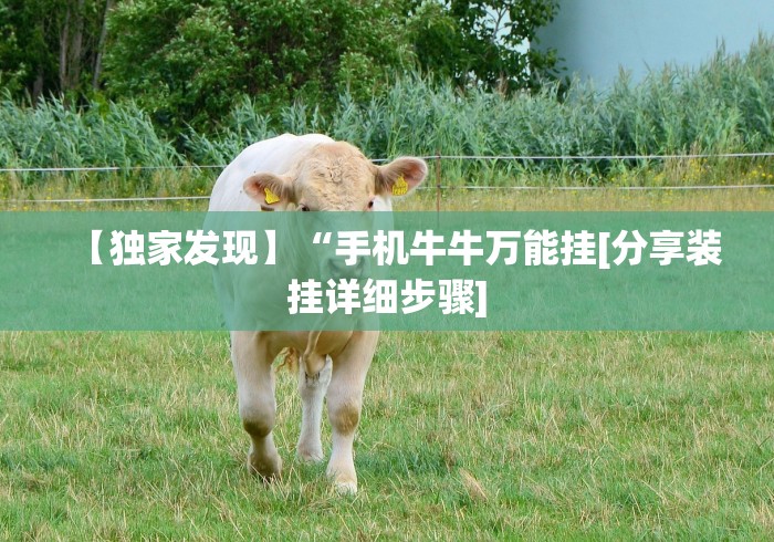 【第一发现】“微信发链接斗牛能不能开挂”分享用挂教程