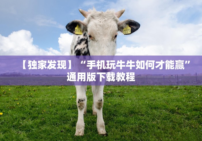 丰富分享“美酒之城可以开挂吗”详细辅助透视