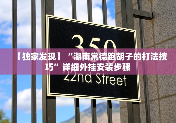 【独家发现】“湖南常德跑胡子的打法技巧”详细外挂安装步骤