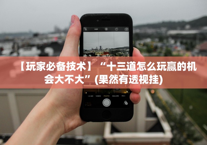 【玩家必备技术】“十三道怎么玩赢的机会大不大	”(果然有透视挂)