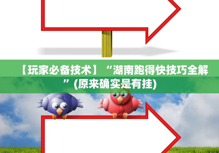 科普一下乐胡麻将挂先试用后付款”掌握辅助功能必胜规则