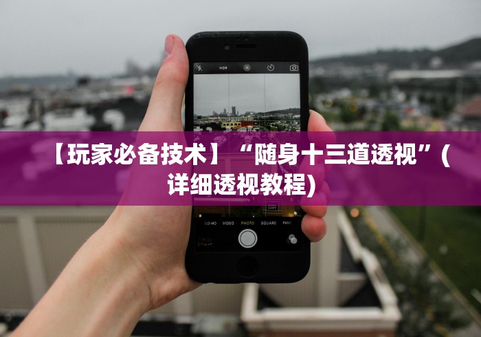 【玩家必备技术】“随身十三道透视”(详细透视教程)