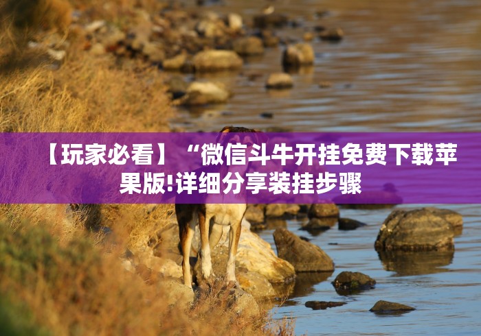 【玩家必看】“微信斗牛开挂免费下载苹果版!详细分享装挂步骤 【玩家必看】“微信斗牛开挂免费下载苹果版!详细分享装挂步骤