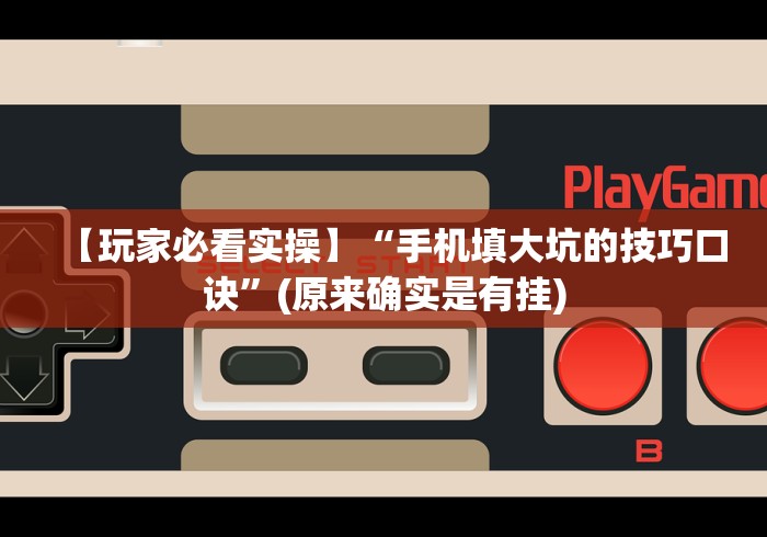 【玩家必看实操】“手机填大坑的技巧口诀”(原来确实是有挂)