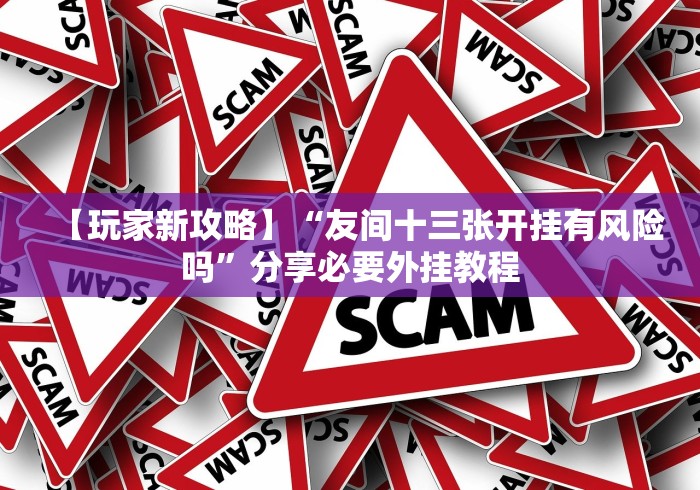 【玩家新攻略】“友间十三张开挂有风险吗”分享必要外挂教程