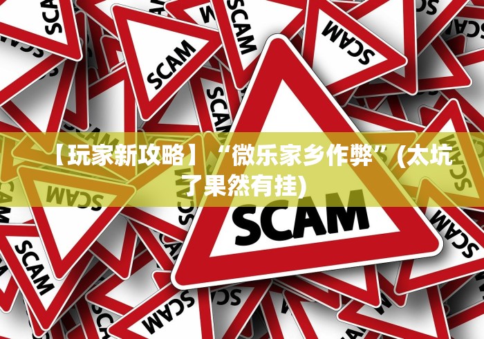 【玩家新攻略】“微乐家乡作弊”(太坑了果然有挂)