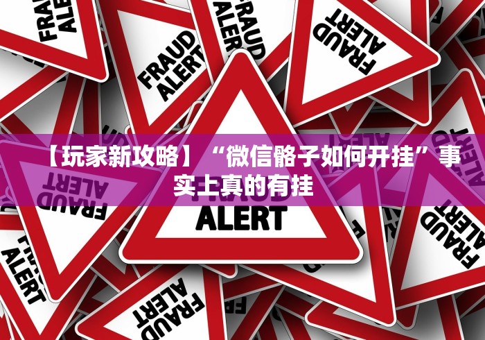 【玩家新攻略】“微信骼子如何开挂”事实上真的有挂