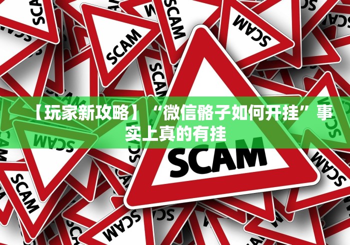 【玩家新攻略】“微信骼子如何开挂	”事实上真的有挂