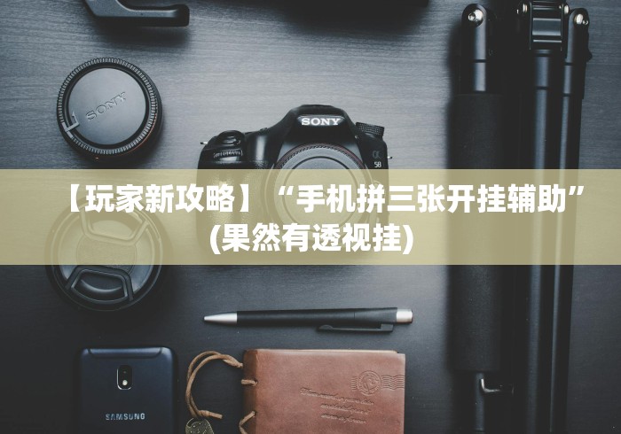 【玩家新攻略】“手机拼三张开挂辅助”(果然有透视挂)