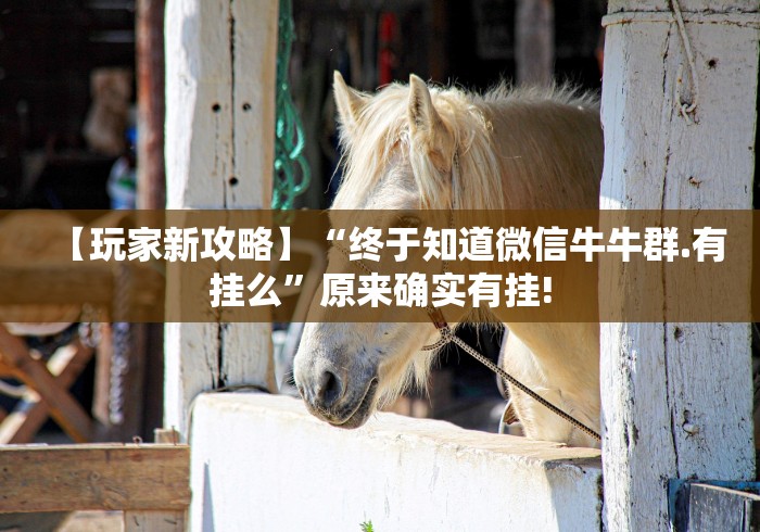 辅助挂机软件“微乐山西麻将开挂教程”事实上确实有挂