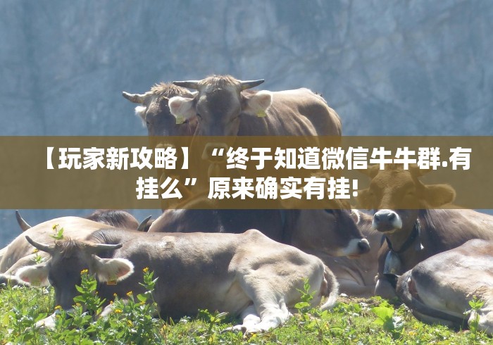 【玩家新攻略】“终于知道微信牛牛群.有挂么”原来确实有挂!