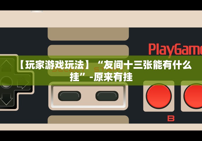 【玩家游戏玩法】“友间十三张能有什么挂”-原来有挂