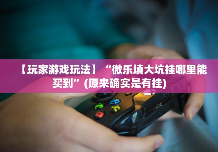 【玩家游戏玩法】“微乐填大坑挂哪里能买到”(原来确实是有挂)