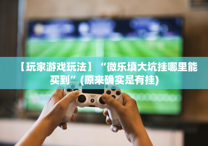 【玩家游戏玩法】“微乐填大坑挂哪里能买到	”(原来确实是有挂)