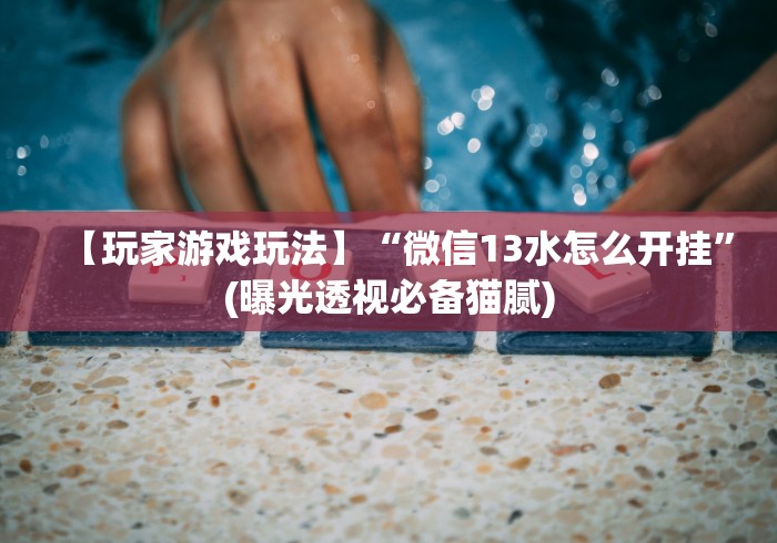 【玩家游戏玩法】“微信13水怎么开挂	”(曝光透视必备猫腻)