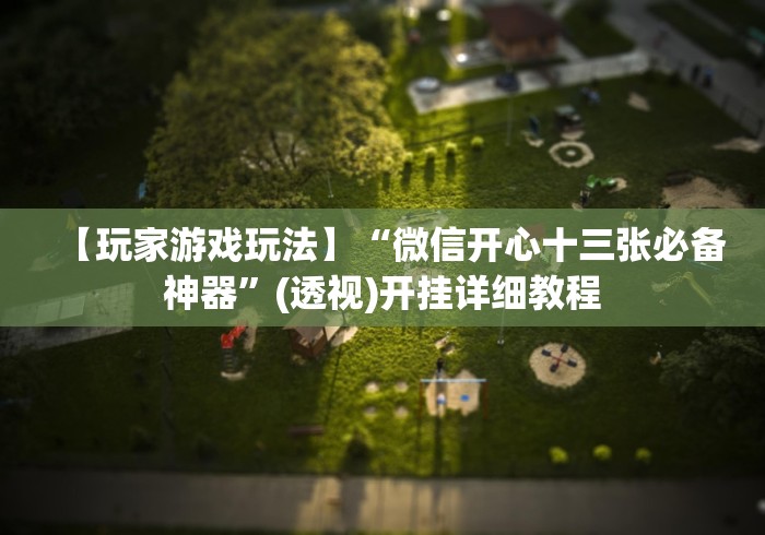 【玩家游戏玩法】“微信开心十三张必备神器	”(透视)开挂详细教程