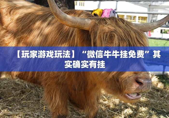 【第一资讯】“迅奇麻将万能开挂教程”其实确实有挂