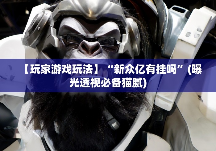 【玩家游戏玩法】“新众亿有挂吗”(曝光透视必备猫腻)