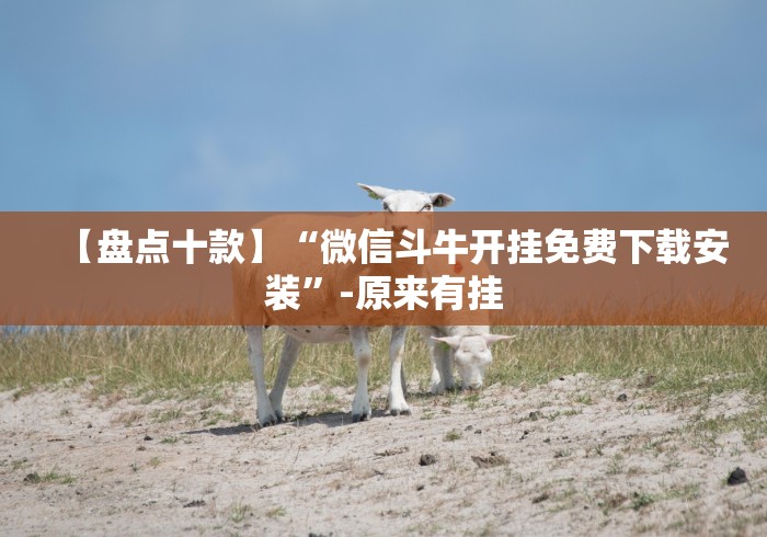 详细分享“河北微乐麻将怎么提高胜率”(透视)开挂详细教程