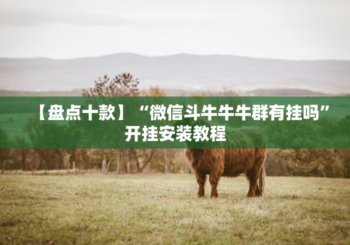 重大通报“微乐陕西三代有挂吗”详细外挂安装步骤