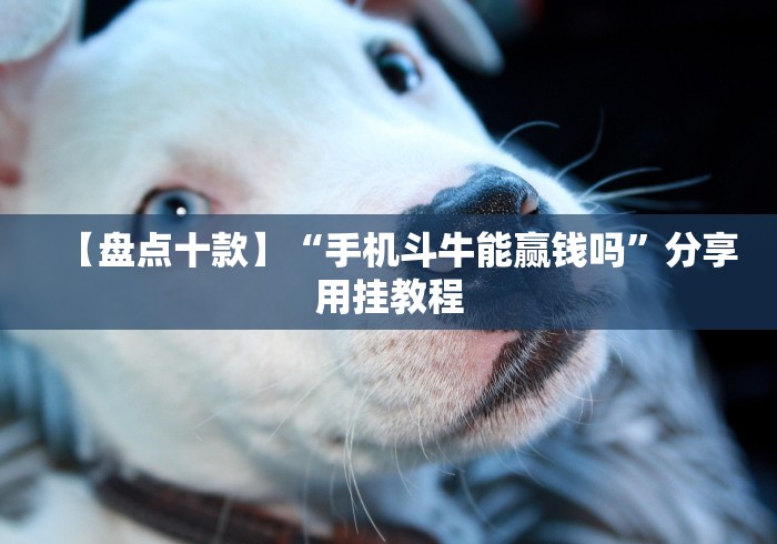【盘点十款】“手机斗牛能赢钱吗”分享用挂教程
