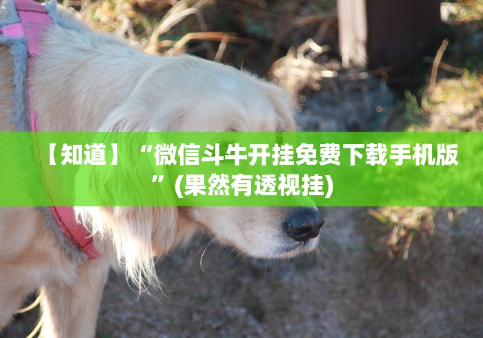 【知道】“微信斗牛开挂免费下载手机版”(果然有透视挂)