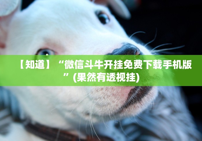今日教程“中至江西麻将有挂吗”科技辅助神器手机版教程