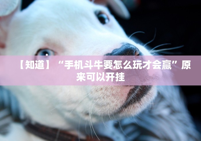 【知道】“手机斗牛要怎么玩才会赢”原来可以开挂