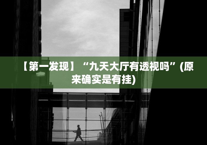 【第一发现】“九天大厅有透视吗”(原来确实是有挂)