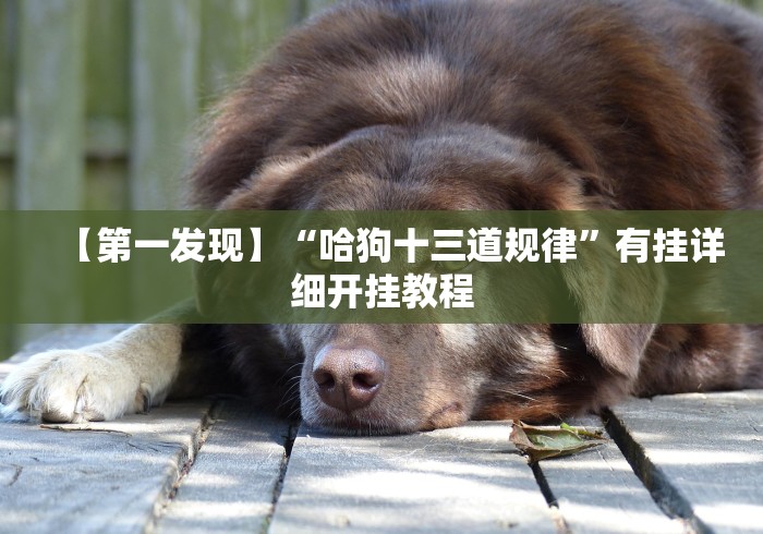 一分钟介绍应用“微乐麻将必赢神器软件苹果版	”作弊(透视)透视辅助