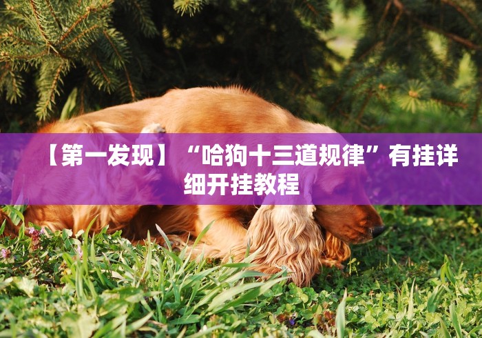 1分钟科普“多乐麻将开挂先试用在付款	”开挂辅助脚本+详细开挂安装教程