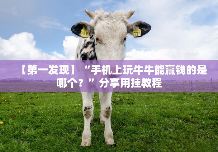 【第一发现】“手机上玩牛牛能赢钱的是哪个？”分享用挂教程