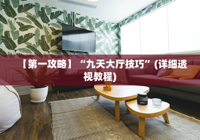 【第一攻略】“九天大厅技巧”(详细透视教程)