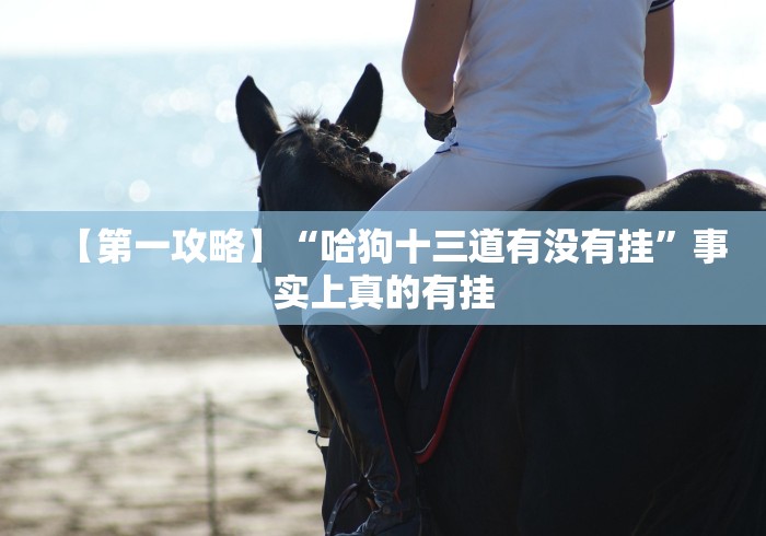 科普一下微信作弊版”(详细透视教程)-