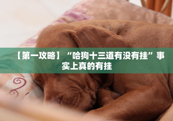 实测脚本“蛮籽麻将重庆开挂神器”真实开挂技巧分享