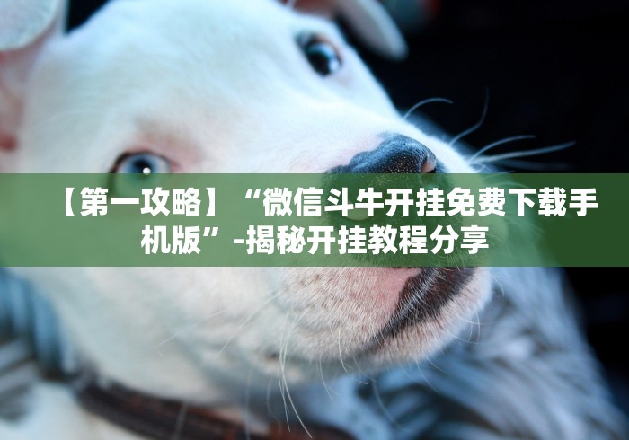 经验传递“金花牛牛挂先试用再付款泉州”开挂辅助教程